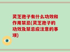 灵芝孢子有什么功效和作用禁忌(灵芝孢子的功效及禁忌应注意的事项)