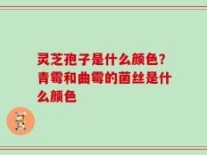 灵芝孢子是什么颜色？青霉和曲霉的菌丝是什么颜色