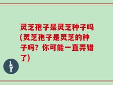 灵芝孢子是灵芝种子吗(灵芝孢子是灵芝的种子吗？你可能一直弄错了)
