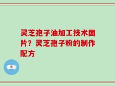 灵芝孢子油加工技术图片？灵芝孢子粉的制作配方