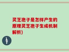 灵芝孢子是怎样产生的原理灵芝孢子生成机制解析)