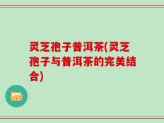 灵芝孢子普洱茶(灵芝孢子与普洱茶的完美结合)