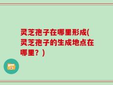 灵芝孢子在哪里形成(灵芝孢子的生成地点在哪里？)