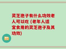 灵芝孢子有什么功效老人可以吃 (老年人适宜食用的灵芝孢子及其功效)