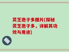 灵芝孢子多图片(探秘灵芝孢子多，详解其功效与用途)