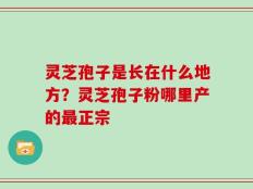 灵芝孢子是长在什么地方？灵芝孢子粉哪里产的最正宗