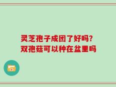 灵芝孢子成团了好吗？双孢菇可以种在盆里吗