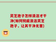 灵芝孢子怎样清洁才干净(如何彻底清洁灵芝孢子，让其干净无害)