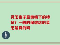 灵芝孢子显微镜下的特征？一般的保健店的灵芝是真的吗