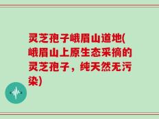 灵芝孢子峨眉山道地(峨眉山上原生态采摘的灵芝孢子，纯天然无污染)