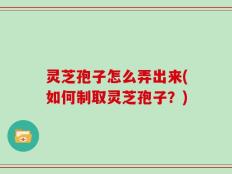 灵芝孢子怎么弄出来(如何制取灵芝孢子？)