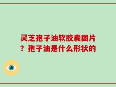 灵芝孢子油软胶囊图片？孢子油是什么形状的