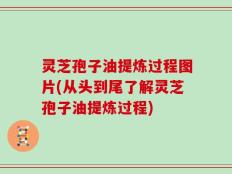 灵芝孢子油提炼过程图片(从头到尾了解灵芝孢子油提炼过程)