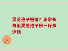 灵芝孢子报价？正宗长白山灵芝孢子粉一斤多少钱