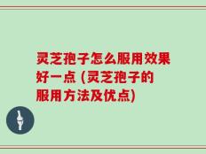 灵芝孢子怎么服用效果好一点 (灵芝孢子的服用方法及优点)
