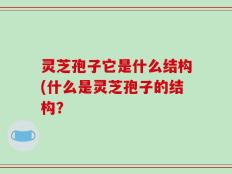 灵芝孢子它是什么结构(什么是灵芝孢子的结构？