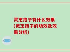 灵芝孢子有什么效果 (灵芝孢子的功效及效果分析)