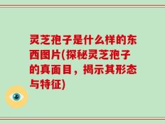 灵芝孢子是什么样的东西图片(探秘灵芝孢子的真面目，揭示其形态与特征)