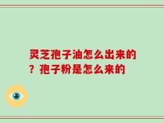灵芝孢子油怎么出来的？孢子粉是怎么来的