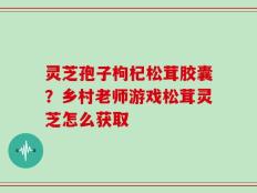 灵芝孢子枸杞松茸胶囊？乡村老师游戏松茸灵芝怎么获取