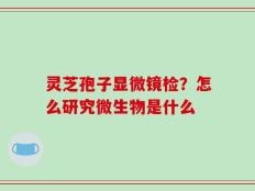 灵芝孢子显微镜检？怎么研究微生物是什么