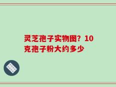 灵芝孢子实物图？10克孢子粉大约多少