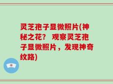 灵芝孢子显微照片(神秘之花？ 观察灵芝孢子显微照片，发现神奇纹路)
