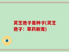 灵芝孢子是种子(灵芝孢子：草药新宠)