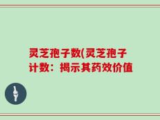 灵芝孢子数(灵芝孢子计数：揭示其药效价值