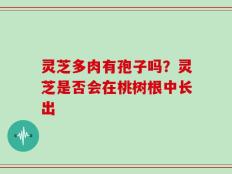 灵芝多肉有孢子吗？灵芝是否会在桃树根中长出