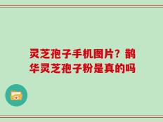 灵芝孢子手机图片？鹊华灵芝孢子粉是真的吗