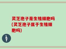 灵芝孢子是生殖细胞吗(灵芝孢子属于生殖细胞吗)