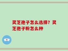 灵芝孢子怎么选择？灵芝孢子粉怎么种