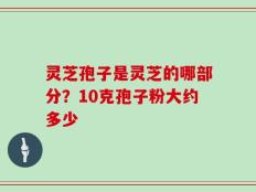 灵芝孢子是灵芝的哪部分？10克孢子粉大约多少