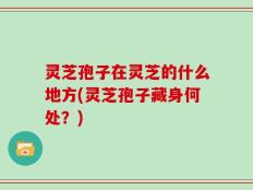 灵芝孢子在灵芝的什么地方(灵芝孢子藏身何处？)