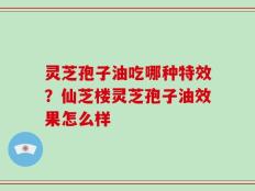 灵芝孢子油吃哪种特效？仙芝楼灵芝孢子油效果怎么样