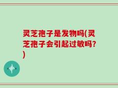 灵芝孢子是发物吗(灵芝孢子会引起过敏吗？)