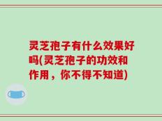 灵芝孢子有什么效果好吗(灵芝孢子的功效和作用，你不得不知道)