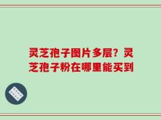 灵芝孢子图片多层？灵芝孢子粉在哪里能买到
