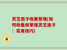 灵芝孢子收集繁殖(如何收集和繁殖灵芝孢子：实用技巧)