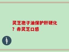 灵芝孢子油保护肝硬化？赤灵芝口感