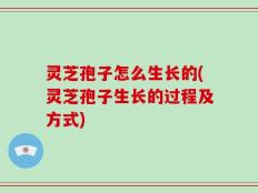 灵芝孢子怎么生长的(灵芝孢子生长的过程及方式)