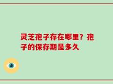 灵芝孢子存在哪里？孢子的保存期是多久