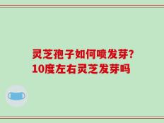 灵芝孢子如何喷发芽？10度左右灵芝发芽吗
