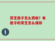 灵芝孢子怎么获收？有孢子的灵芝怎么保存