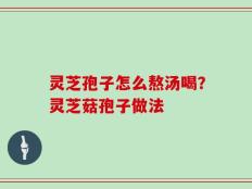 灵芝孢子怎么熬汤喝？灵芝菇孢子做法