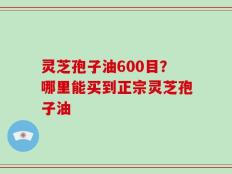 灵芝孢子油600目？哪里能买到正宗灵芝孢子油