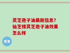 灵芝孢子油最新信息？仙芝楼灵芝孢子油效果怎么样