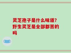 灵芝孢子是什么味道？野生灵芝是全部都苦的吗