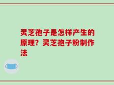 灵芝孢子是怎样产生的原理？灵芝孢子粉制作法